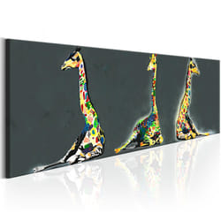 Tableau Colourful Giraffes - PD8482-135-45