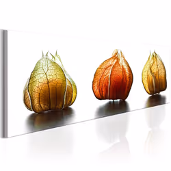 Planete Discount PD11347-135-45, Fleurs variées, Orange, Blanc, Jaune, Panneaux MDF, 1350 mm, 20 mm, 450 mm