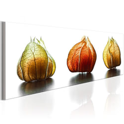 Tableau Fleurs Winter Cherry - PD11347-135-45