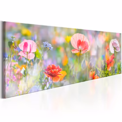 Planete Discount PD11348-135-45, Coquelicots, Multicolore, Panneaux MDF, 1350 mm, 20 mm, 450 mm