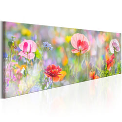 Tableau Fleurs Rainbow of Morning Poppies - PD11348-135-45