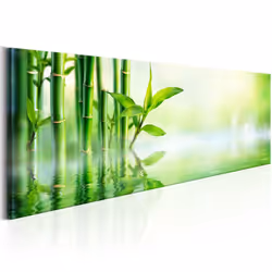 Planete Discount PD12632-150-50, Vert, Jaune, Panneaux MDF, 1500 mm, 20 mm, 500 mm