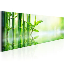 Tableau Zen Green Bamboo - PD12632-150-50