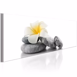 Planete Discount PD12635-150-50, Gris, Blanc, Panneaux MDF, 1500 mm, 20 mm, 500 mm