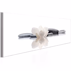 Planete Discount PD12636-150-50, Noir, Blanc, Panneaux MDF, 1500 mm, 20 mm, 500 mm