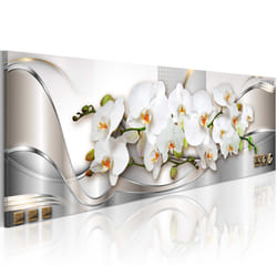 Tableau Fleurs Orchids II - PD11349-150-50