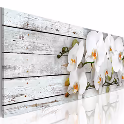 Planete Discount PD11357-150-50, Orchidées, Vert, Gris, Blanc, Panneaux MDF, 1500 mm, 20 mm, 500 mm