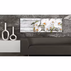 Tableau Fleurs White Dreams - PD11357-150-50