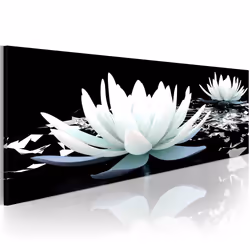 Planete Discount PD9329-150-50, Fleurs et plantes, Noir, Blanc, Panneaux MDF, 1500 mm, 20 mm, 500 mm
