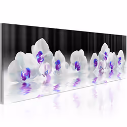 Planete Discount PD11358-150-50, Orchidées, Noir, Violet, Blanc, Panneaux MDF, 1500 mm, 20 mm, 500 mm