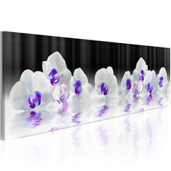 Tableau Fleurs Water Orchids - PD11358-150-50