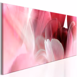 Planete Discount PD11360-150-50, Tulipes, Rose, Rouge, Panneaux MDF, 1500 mm, 20 mm, 500 mm