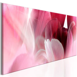 Tableau Fleurs Flowers: Pink Tulips - PD11360-150-50