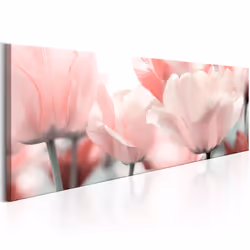 Planete Discount PD11361-150-50, Tulipes, Rose, Panneaux MDF, 1500 mm, 20 mm, 500 mm