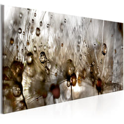 Tableau Fleurs Drops of Water - PD11363-150-50
