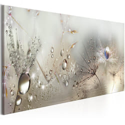 Tableau Fleurs Morning Song - PD11366-150-50