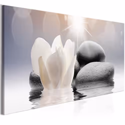 Planete Discount PD12638-150-50, Beige, Gris, Panneaux MDF, 1500 mm, 20 mm, 500 mm