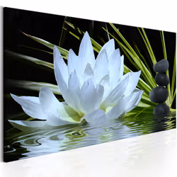 Planete Discount PD12642-150-50, Noir, Vert, Blanc, Panneaux MDF, 1500 mm, 20 mm, 500 mm
