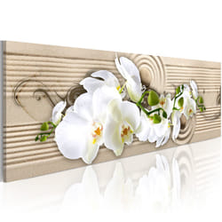 Planete Discount PD11369-135-45 tableau