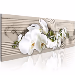 Planete Discount PD11370-150-50, Orchidées, Beige, Vert, Blanc, Panneaux MDF, 1500 mm, 20 mm, 500 mm