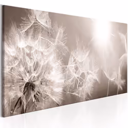 Planete Discount PD11374-150-50, Fleurs variées, Noir, Blanc, Panneaux MDF, 1500 mm, 20 mm, 500 mm