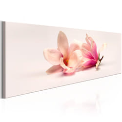 Planete Discount PD11375-120-40 tableau