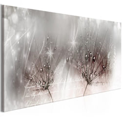 Tableau Fleurs Drops of Dew (1 Part) Pink Narrow - PD11377-150-50