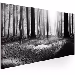 Planete Discount PD10198-150-50, Forêt, Noir, Blanc, Panneaux MDF, 1500 mm, 20 mm, 500 mm