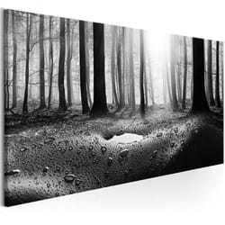 Tableau Forest after Rain (1 Part) Narrow - PD10198-150-50