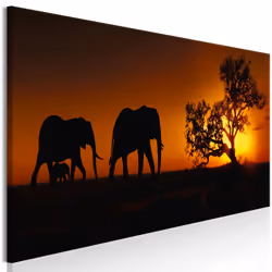 Planete Discount PD8483-150-50, Éléphants, Noir, Orange, Panneaux MDF, 1500 mm, 20 mm, 500 mm