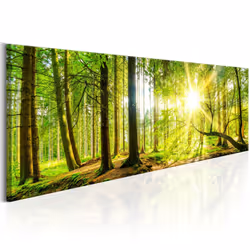 Planete Discount PD10206-150-50, Forêt, Marron, Vert, Jaune, Panneaux MDF, 1500 mm, 20 mm, 500 mm