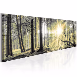 Planete Discount PD10207-150-50, Forêt, Marron, Vert, Jaune, Panneaux MDF, 1500 mm, 20 mm, 500 mm