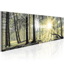 Tableau Morning Forest - PD10207-150-50