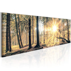 Planete Discount PD10208-120-40 tableau