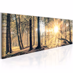 Planete Discount PD10208-150-50, Forêt, Marron, Vert, Orange, Jaune, Panneaux MDF, 1500 mm, 20 mm, 500 mm