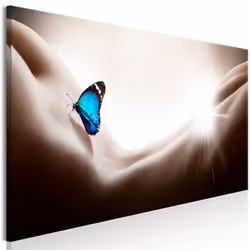 Planete Discount PD11953-150-50, Nus, Beige, Noir, Bleu, Panneaux MDF, 1500 mm, 20 mm, 500 mm