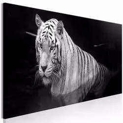 Planete Discount PD8507-150-50, Chats, Noir, Blanc, Panneaux MDF, 1500 mm, 20 mm, 500 mm