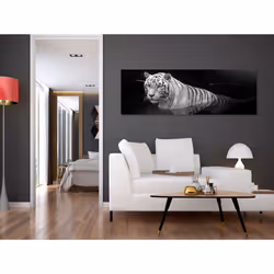 Tableau Shining Tiger 1 Pièce Black and White Narrow - PD8507-150-50