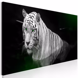 Planete Discount PD8508-150-50, Chats, Noir, Vert, Blanc, Panneaux MDF, 1500 mm, 20 mm, 500 mm