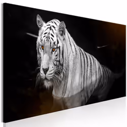 Planete Discount PD8509-150-50, Chats, Noir, Orange, Blanc, Panneaux MDF, 1500 mm, 20 mm, 500 mm