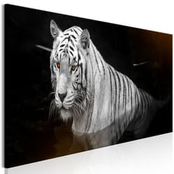 Tableau Shining Tiger 1 Pièce Orange Narrow - PD8509-150-50