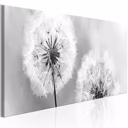 Planete Discount PD11382-150-50, Fleurs variées, Noir, Blanc, Panneaux MDF, 1500 mm, 20 mm, 500 mm