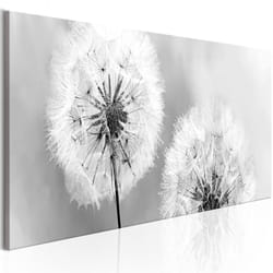 Tableau Fleurs Summer Memories - PD11382-150-50