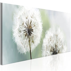 Planete Discount PD11383-135-45 tableau