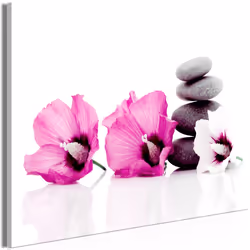Planete Discount PD12665-120-80, Gris, Rose, Blanc, Panneaux MDF, 1200 mm, 20 mm, 800 mm