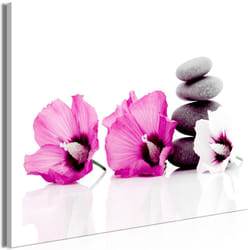 Tableau Zen Calm Mallow (1 Part) Wide Pink - PD12665-120-80