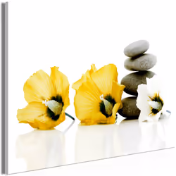 Planete Discount PD12666-120-80, Gris, Blanc, Jaune, Panneaux MDF, 1200 mm, 20 mm, 800 mm