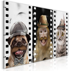 Tableau Funny Pets Collection - PD8517-120-60