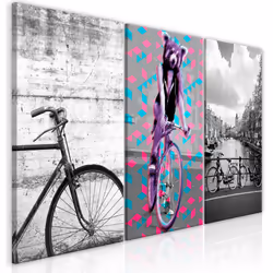 Planete Discount PD12464-120-60