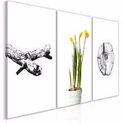 Planete Discount PD11387-120-60, Fleurs variées, Noir, Vert, Blanc, Jaune, Panneaux MDF, 1200 mm, 20 mm, 600 mm